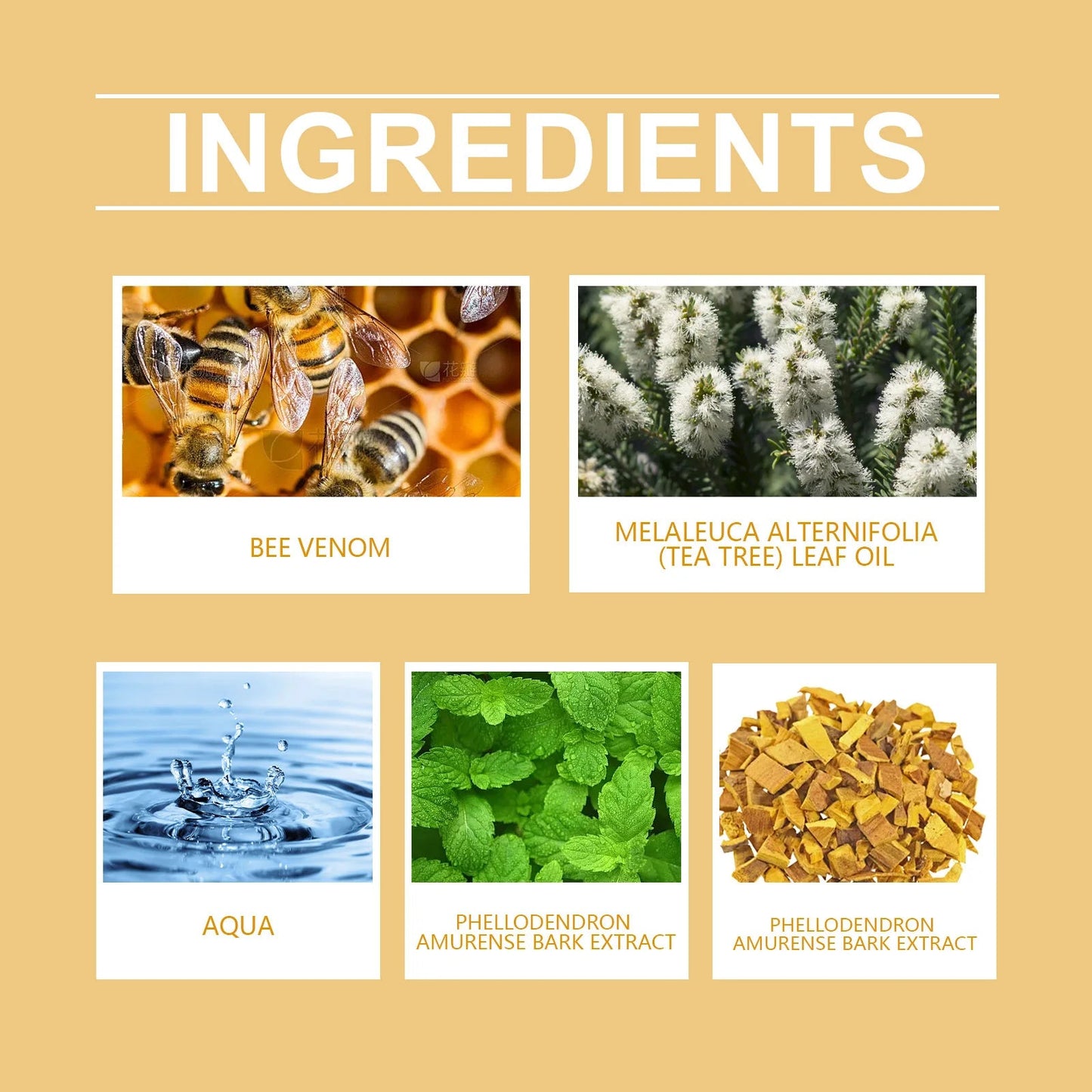 발톱무Bee Venom Skin Gentle Skin Cleansing Skin Care Cream Reduce Itchiness Strengthen Barrier Moisturizing Knee Body Massage Cream - Xlam
